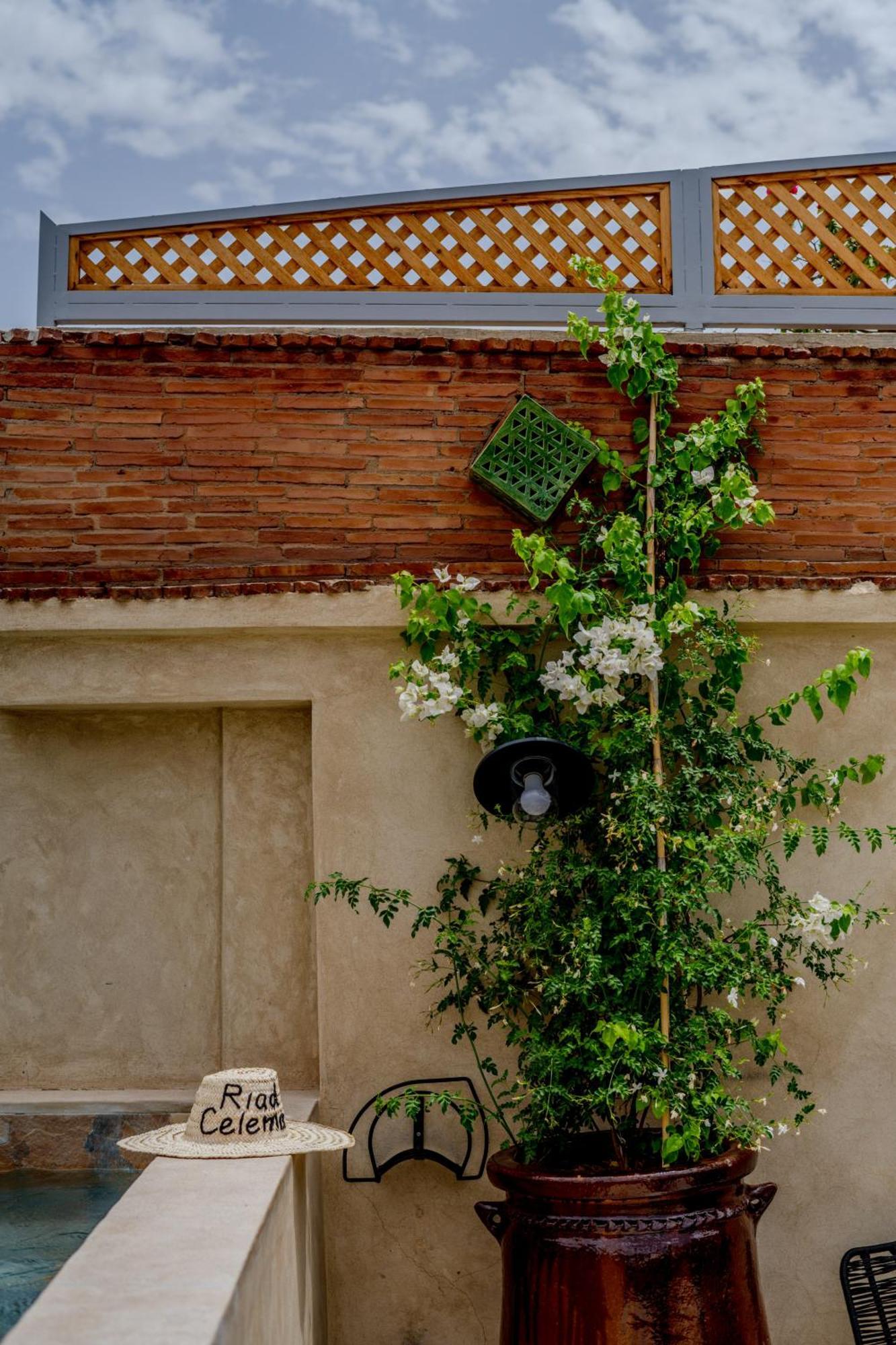 Riad Celema & Spa Marraquexe Exterior foto